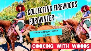 Collecting woods for winter//How to stay warm in winter/cooking with woods