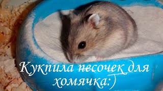 Купили песочек для хомы:) | Тест песка для джунгарика | Хомкины будни 🐹