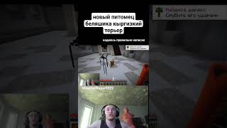 питомец много о себе возомнил twitch.tv/derzko69 #derzko69 #беляш #палата69#терьер #маинкрафт #юмор