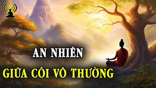 Hoa từ tâm hé nụ giữa vô thường