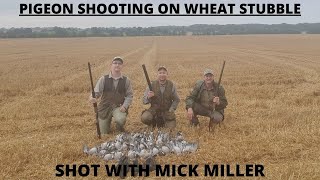 PIGEON SHOOTING ON WHEAT STUBBLE