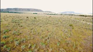 [968248] Área Verde a venda com água na Chapada dos Veadeiros