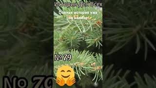 - Я отберу у тебя мужа, и квартиру, и шубу твою! - кричала давняя подруга мужа #истории #рассказ