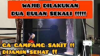 WAJIB DILAKUIN 2 BULAN SEKALI UNTUK KOKI KESAYANGAN ANDA | DIJAMIN SEHAT !!