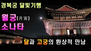 경복궁의 환상적 가을야경. 달과 고궁이 펼치는 절경의 월궁소나타.