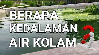 BUDIDAYA IKAN GURAME DI KOLAM TERPAL KECIL || KEDALAMAN AIR KOLAM DALAM BUDIDAYA GURAME