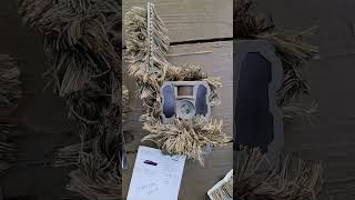 Trail camera concealment