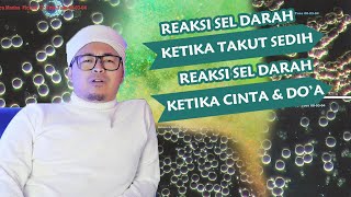 EMOSI DAN PERASAAN ANDA BERBAHAYA BAGI DARAH, DOA ANDA BAIK UNTUK DARAH