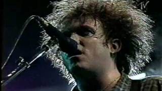 The Cure - Friday Im In Love (Live 1996)