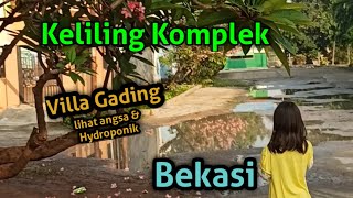 Melihat tanaman hydroponik, Keliling komplek villa gading perumahan di bekasi utara