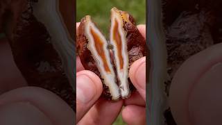 Surprise inside Malawi agate!