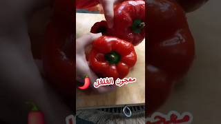 دبس الفليفله علي السريع Red Bell Papper Paste 🌶#shorts #trending #youtubeshorts #fyp #explore #food