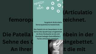 Kniegelenk - Anatomie Aufbau Besonderheiten des Knie - Physio4Real