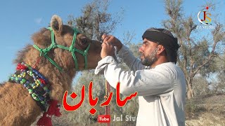 Sarban (Balochi) New Balochi Short Film 2024