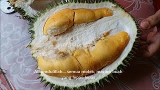 Durian oh durian    Bukit Payung Terengganu. #terengganu #durian