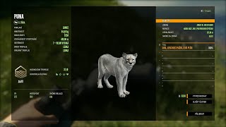 Pumy theHunter Call of the Wild