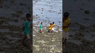 Hunting sea shell #sea #asmrsounds #shorts