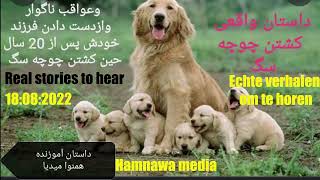 داستان واقعی وعبرت انگیزبدوای سگی دوپسرش را از وی گرفتThe#true#and#inspiring# story# of a dog that