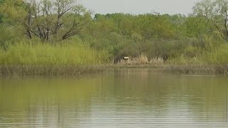 воскресный денек. на лодке по разливу