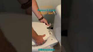 HOW TO Remove & Install a Toilet Seat!