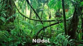 DJ SoundShaker - Welcome To The Jungle ( Original Mix )