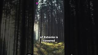 Estonia. Next Holiday Destination #country #travel #fortnite #foryou #fy #youtubeshorts #estonia #fo