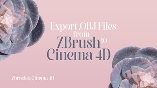 How Export Subtools from ZBrush to Cinema 4D🤎