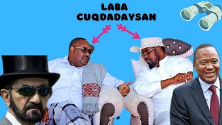 Labadan Cuqdadaysan Waa Adeegayaal