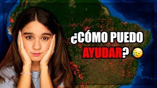 ¡10 FORMAS DE AYUDAR A LAS AMAZONAS! I Turismo con Pao 🌎🔥