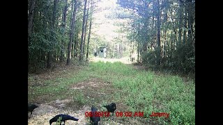 THIS IS THE SCARY HUNTING CAMP BIGFOOT CAPTURED ON TRAIL CAM!!