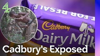 Inside The Cadbury's Child Labour Scandal | Cadbury's Exposed | Dispatches | Channel 4