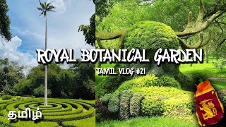 Royal Botanical Garden Peradeniya | Tamilvlog #21 | Sri Lanka 🇱🇰 | தமிழ்