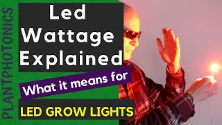 Led Grow Lights - Led Wattage Explained