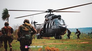 Forças Armadas brasileiras/Status Militar.