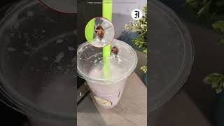 Shocking Discovery: Customer finds large cockroach in their drink!