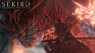 The Demon of Hatred  Sekiro: Shadows Die Twice | Part 17🔴