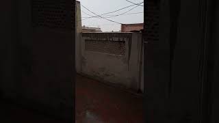 Today Heavy Zalabari 🌧 in Multan | Beautiful Weather #multan #pakistan #zalabari #shots  #viral