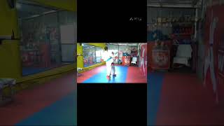 KARATE | WKF KUMITE TRANING |