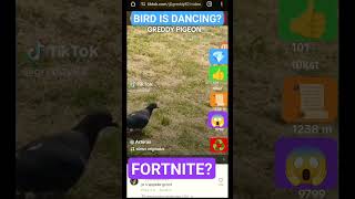 BIRD IS DANCING FORTNITE DANCE LIKE AND SUBSCRIBE FOR MORE#fortnite #fortnite#fortniteclips 👍💎♥️📜♻️😱