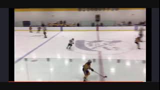 #4 - Lourdes' Maggie Hanzel's blue-line blast (Twitter @LHSGirlsPuck)