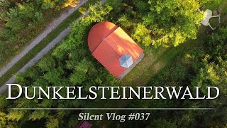 🇦🇹 Dunkelsteinerwald / Mostviertel | Silent Vlog #037