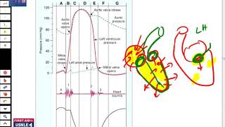 Cardiac_Cycle BRS Physiology lecture.