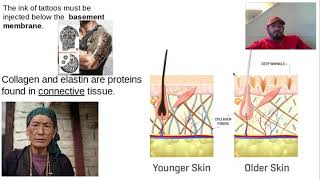 Human Tissue in Depth: Epithelial and Nervous Tissue