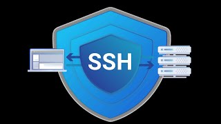 How to brute force open ssh-server logins with metasploit-framework.