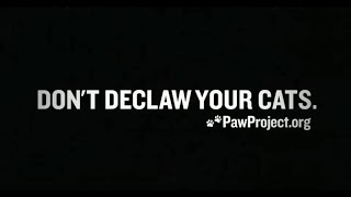 "Humane? Please Don't Declaw Your Cats" - Anti-Declaw PSA