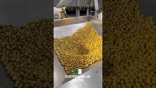 EXAMPLE OLIVE PITTING AND SLICING LINE / ALGERIA