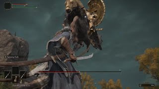 Elden Ring - Trying Out Dex/Duel Weapons For The First Time