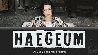 AGUST D - Haegeum (Lirik Terjemahan Indonesia)