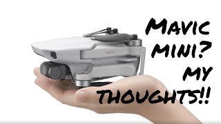 Do I GET the DJI Mavic Mini?