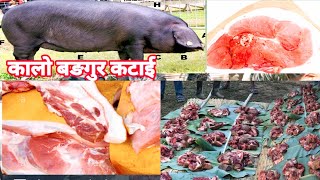 Organic Pork Meat | Kalo Sungur Ko Masu Katai in Nepali Style| Nepali Village Lifestyle Pork meat |